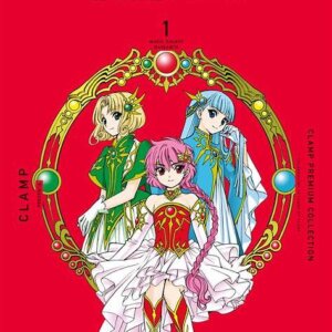 魔法騎士レイアー